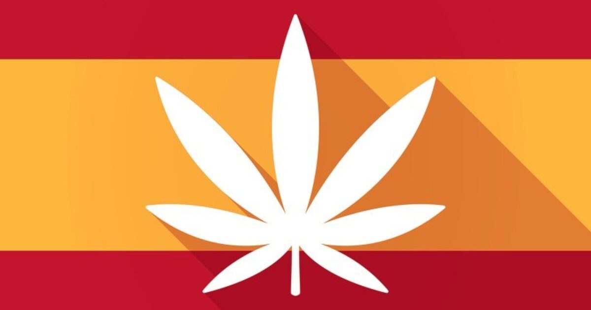 Aceite de cannabis