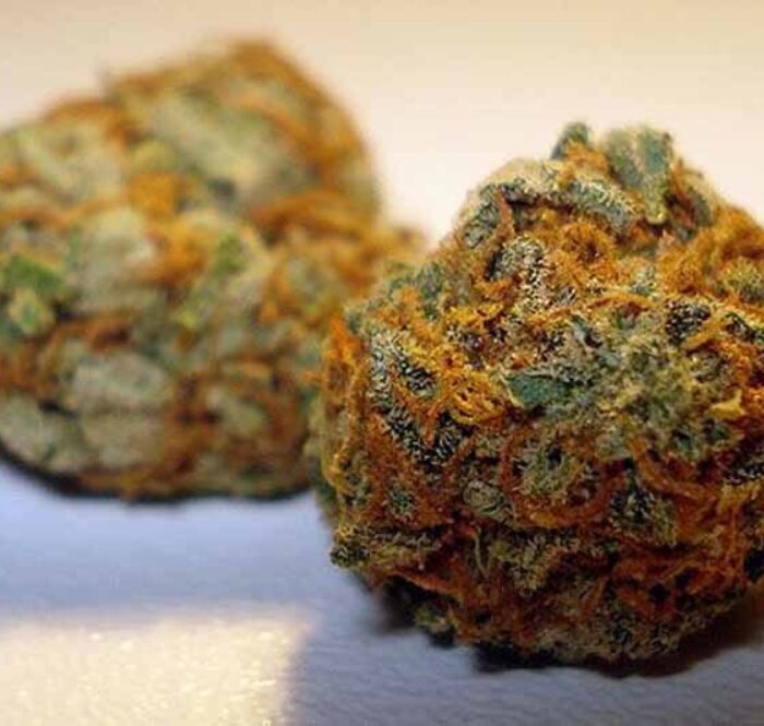 Orange Bud ce qu il est