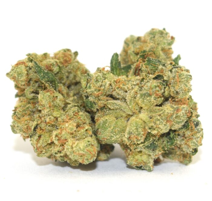 Conseils pour la culture du cannabis og kush