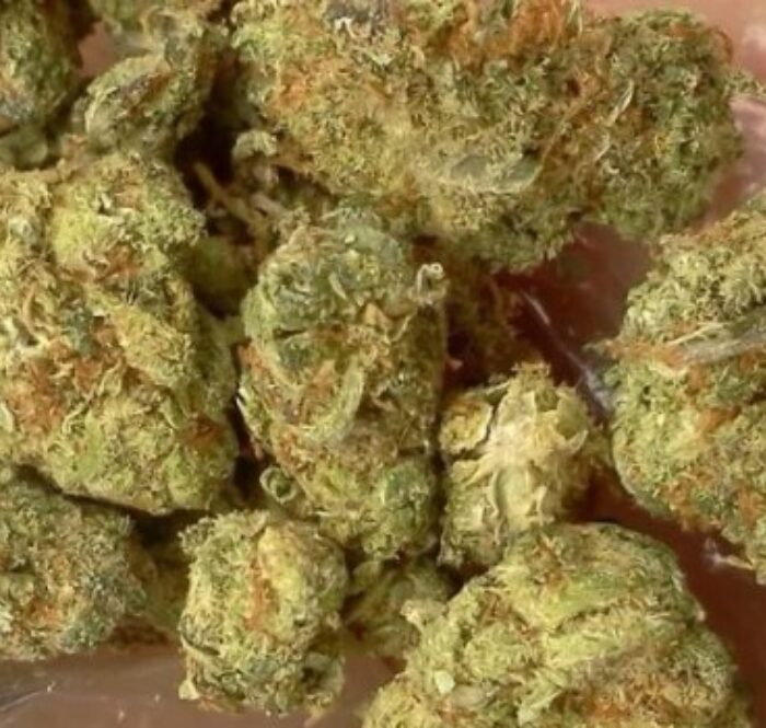 La variété de marijuana Mango Kush est appréciée des consommateurs habituels de cannabis. Dans cet article, nous allons aborder tout ce que vous devez savoir sur cette variété de cannabis intéressante et populaire.