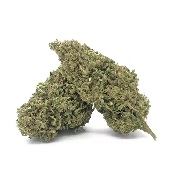 Orange Bud is one of the representatives of the 'old school hemp sativa'. Its intense flavour is dominated by the aftertaste it shares with the Indica cannabis family.