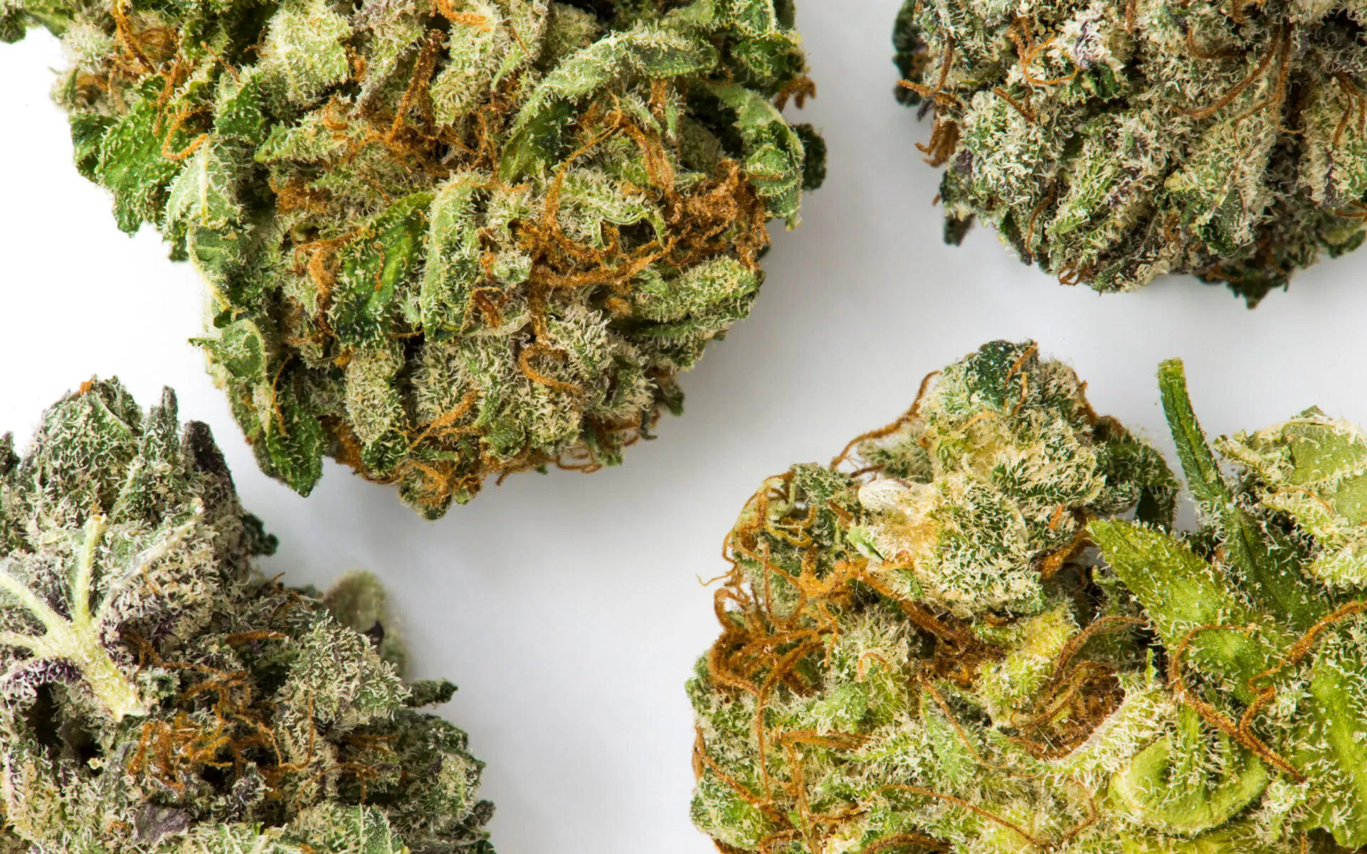 What Does Good Weed Actually Look Like?