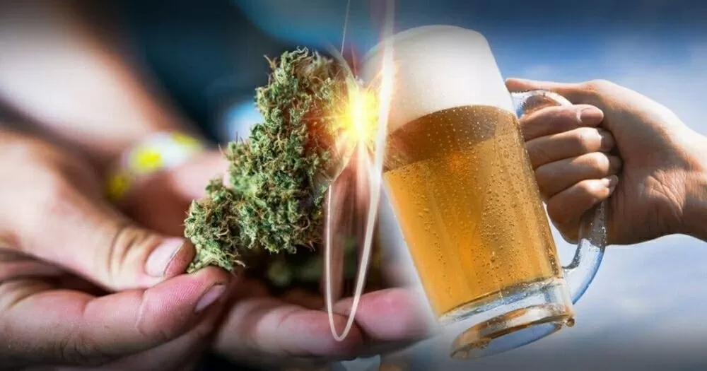Birra cannabis