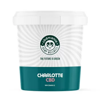 Secchiello 13 charlotte cbd