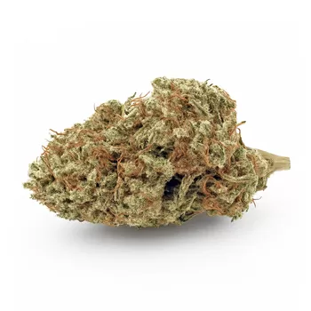 Lemon haze 2025