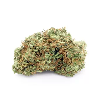 Og kush 2025
