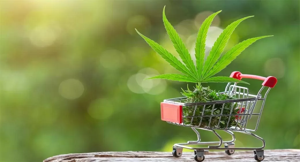 Acheter CBD Comment acheter du cannabis CBD