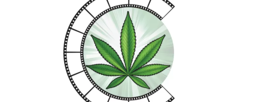 Il y a plusieurs films qui tournent autour de la marijuana.