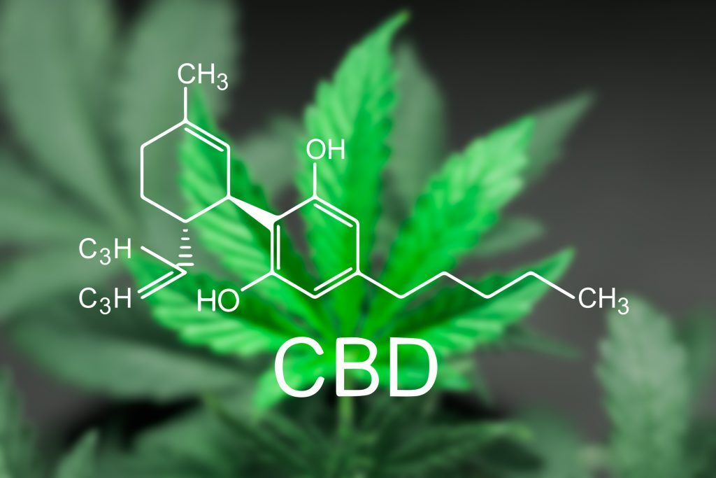Le CBD est un cannabinoïde au potentiel curatif innombrable. Grâce à ses fortes propriétés anti-inflammatoires, antioxydantes et antidouleur et à sa fonction de régulateur de l'humeur, il est largement utilisé dans le traitement d'un large éventail de pathologies.