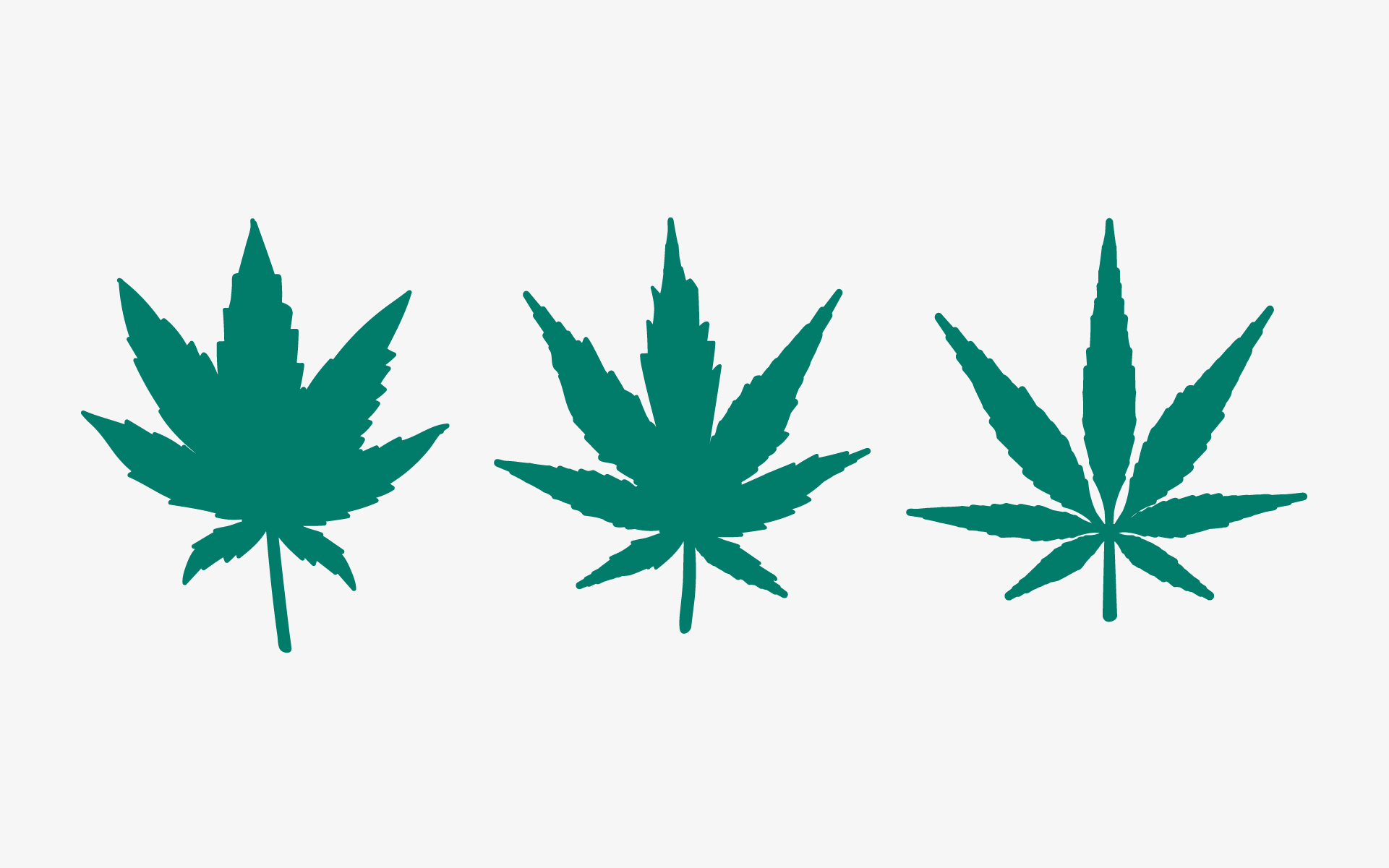 On trouve trois types de marijuana dans la nature : le cannabis sativa, le cannabis indica et le cannabis ruderalis.