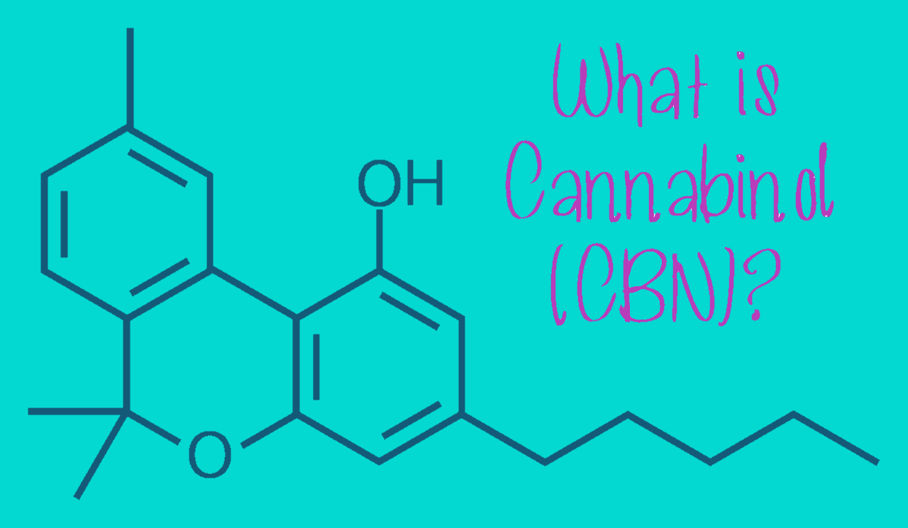 CBN or cannabinol has also been the subject of scientific research and studies due to its characteristic sedative effects.