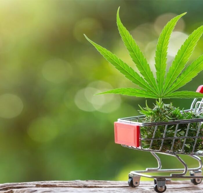 Acheter CBD Comment acheter du cannabis CBD
