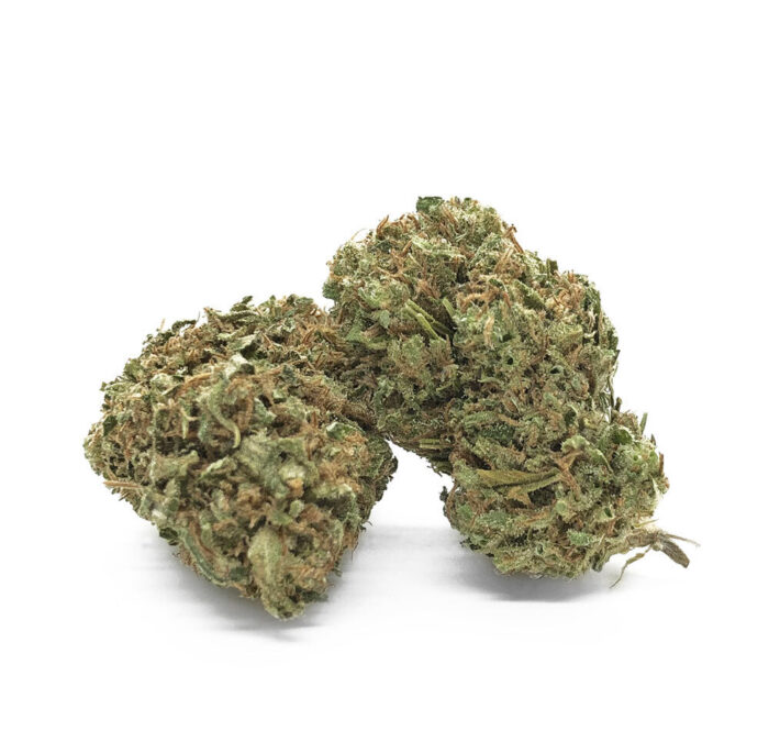 La variété de cannabis Amnesia Haze, si appréciée par la plupart des utilisateurs réguliers qui aiment percevoir un high intense et particulièrement marqué, est facilement disponible tant dans les CBD shops que, alternativement, en ligne.