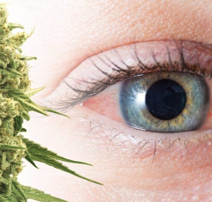 Cannabis yeux rouges