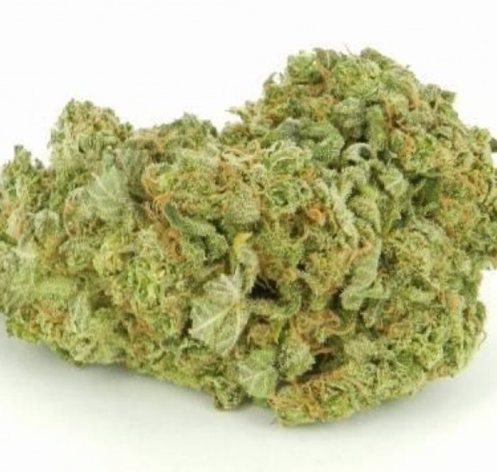 Being a cross between indica and sativa cannabis, Skunk can be indica-dominant, with mostly body-building effects, or sativa-dominant, with mostly cerebral effects. Skunk has been an instant hit with regular marijuana users and won the first Cannabis Cup.