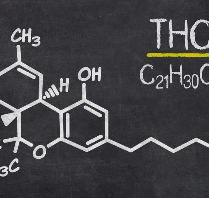 El THC o tetracannabidiol es la principal sustancia química responsable de lo que generalmente son los efectos psicológicos y psicoactivos dados por la ingestión de la planta de cannabis sativa.