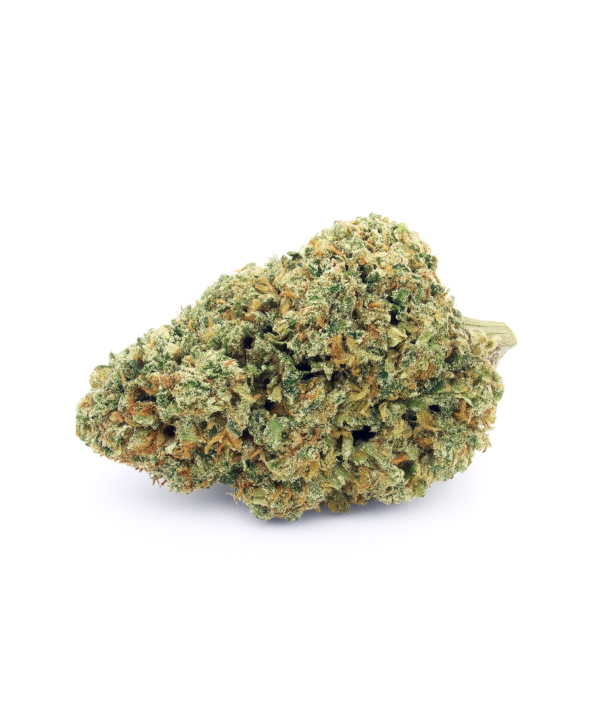 Gelato 2025