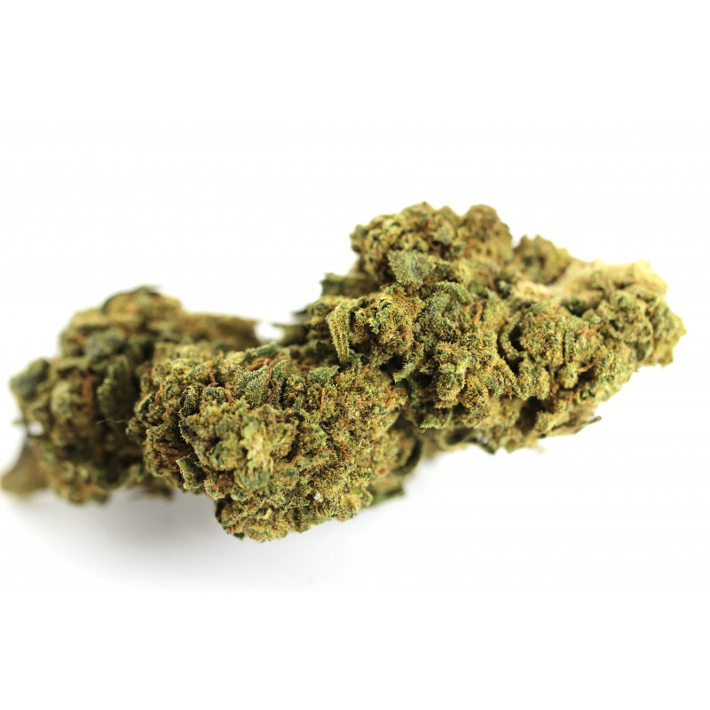 Gorilla Kush est une variété de marijuana hybride à dominante indica, originaire des États-Unis.