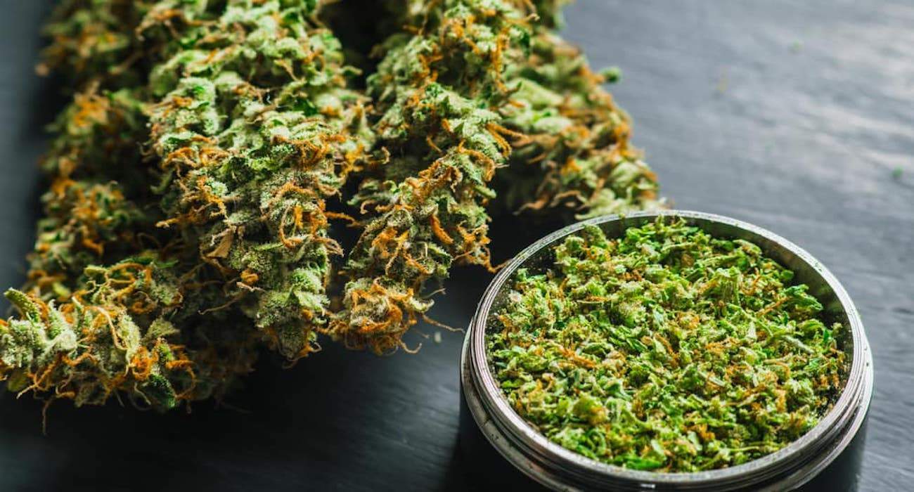 Comment bien choisir un grinder à cannabis ? - Blog Sixty8