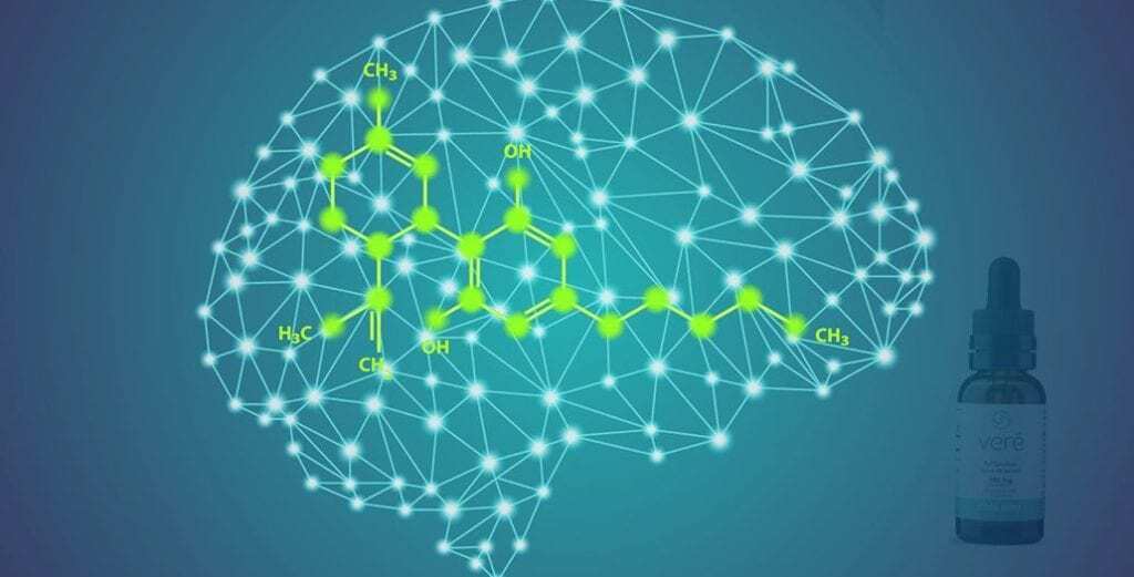 Does CBD Oil Affect Memory?