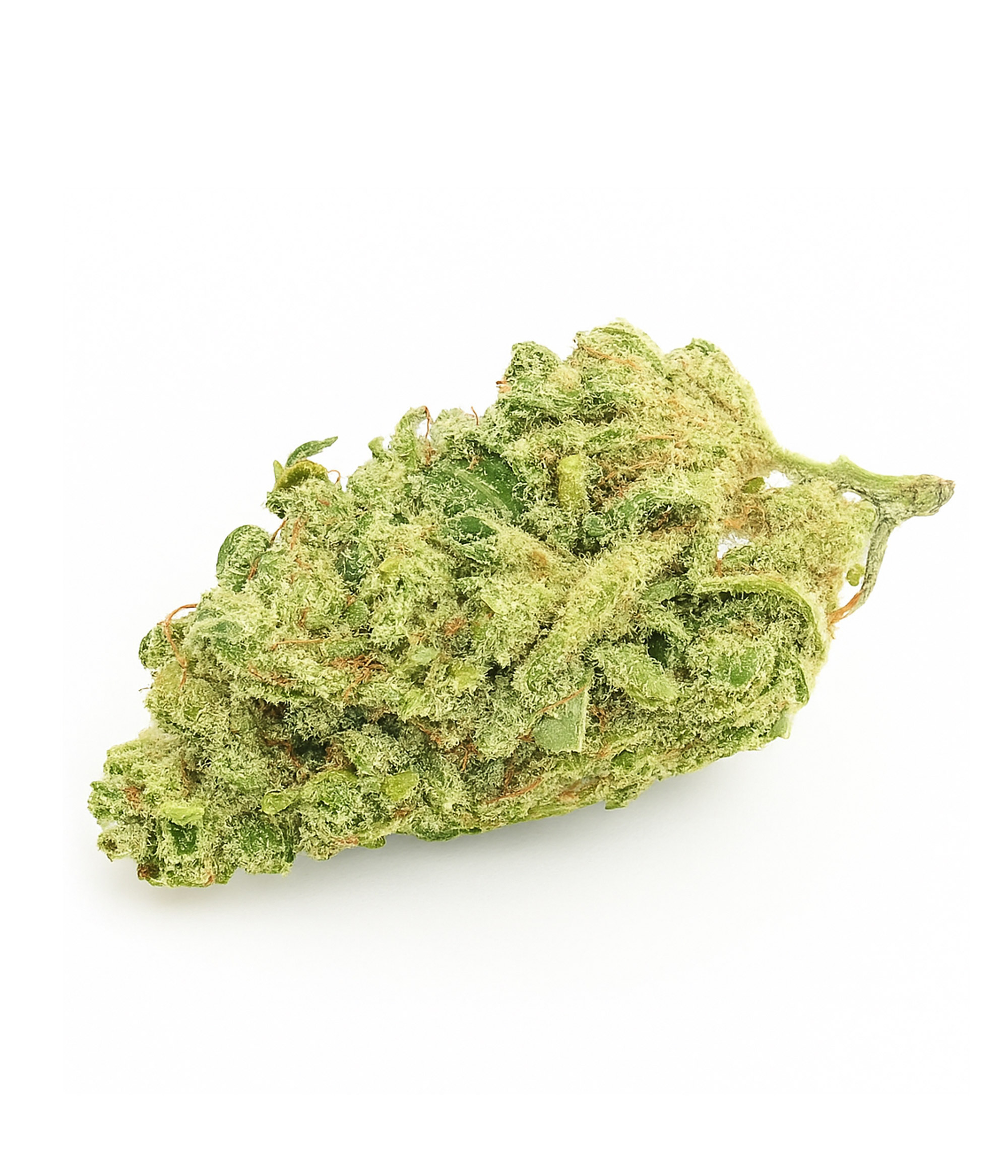 White widow 2025